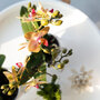 Oranje orchidee en Rhipsalis in sierpotten